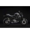 DUCATI Monster 937 + (2021 - 23)