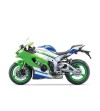 KAWASAKI Ninja 1000 ZX-10R 40th Anniversary Edition (2024)