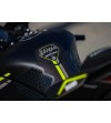 KAWASAKI Ninja 1000 ZX-10RR "Winter Test" Limited Edition (2024)