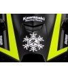 KAWASAKI Ninja 1000 ZX-10RR "Winter Test" Limited Edition (2024)