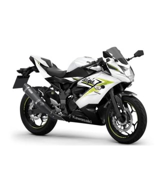 KAWASAKI Ninja 125 (2021 - 204)