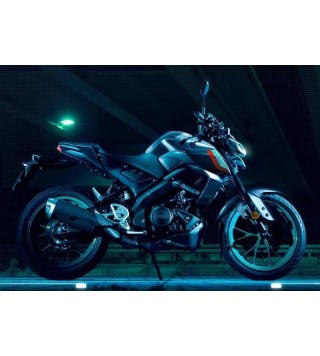 YAMAHA MT-125 (2021 - 24)