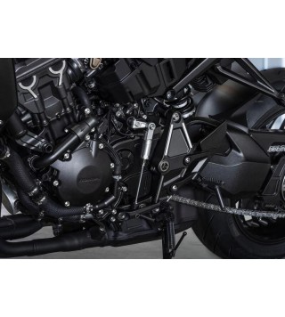 HONDA	CB 1000 R Black Edition (2021 - 24)