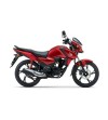 HONDA	CB 125 F (2021 - 24)