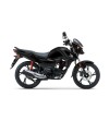 HONDA	CB 125 F (2021 - 24)