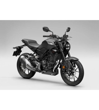 HONDA CB 300 R (2022 - 24)