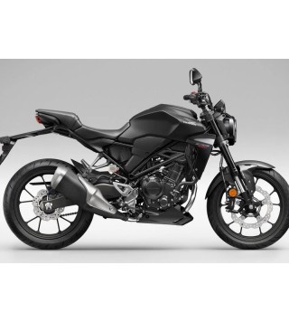 HONDA CB 300 R (2022 - 24)