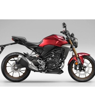 HONDA CB 300 R (2022 - 24)