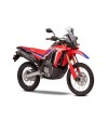 HONDA	CRF 300 Rally (2021 - 24)