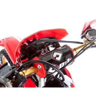 HONDA 	CRF 300 RX 50° Anniversario (2023)