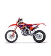 HONDA	CRF 300 RX Enduro (2024)