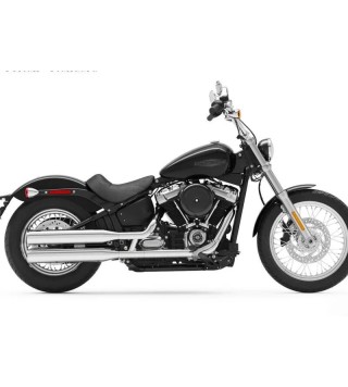 Harley-Davidson Softail Standard (2021 - 24)