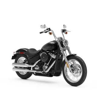 Harley-Davidson Softail Standard (2021 - 24)