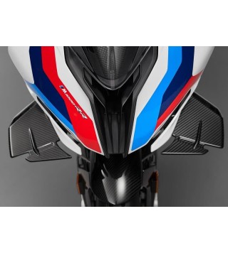 Bmw M 1000 RR (2020 - 24)