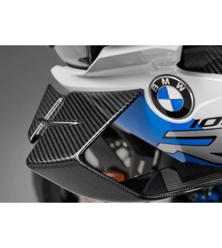 Bmw M 1000 RR (2020 - 24)