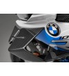 Bmw M 1000 RR (2020 - 24)