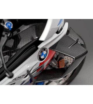 Bmw M 1000 RR (2020 - 24)