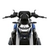 Bmw R 1250 R (2021 - 24)